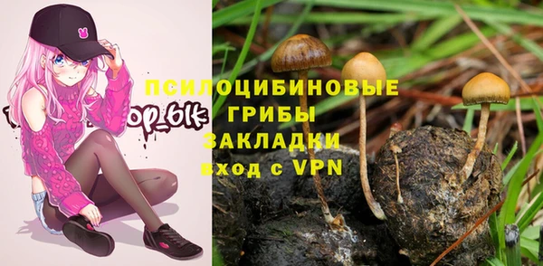 PSILOCYBIN Бронницы