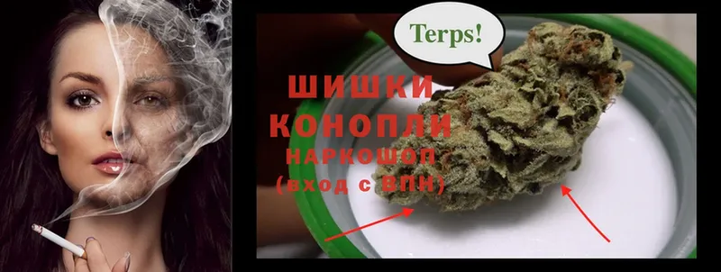 МАРИХУАНА SATIVA & INDICA  наркотики  Мосальск 